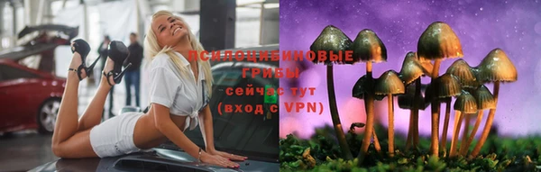 дживик Новокубанск