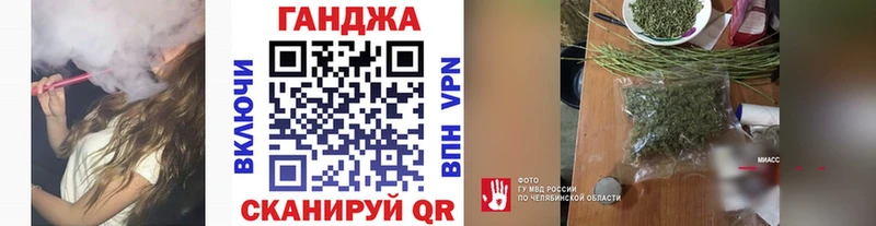 Бошки марихуана конопля  Шадринск 